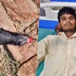 हरदोई में युवक ने कोबरा का फन दांतों से चबाया