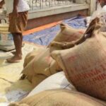 UP News: - UP News: गेहूं और चावल के साथ कोटे पर निशुल्क मिलेगा बाजरा, इस जिले में 28 जनवरी तक होगा वितरण