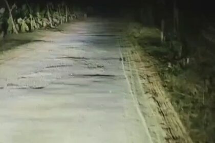 Lakhimpur - Lakhimpur Kheri: गांव के पास सड़क पार करता दिखा बाघ, ग्रामीणों में दहशत; देखें वीडियो