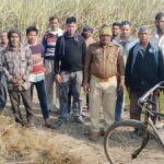 Lakhimpur - Lakhimpur Kheri News: गन्ना काट रही महिला के सामने आया बाघ, भागकर बचाई जान