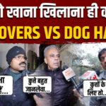 Dog Lovers - Dog Lovers vs Dog Haters: आवारा कुत्तों पर क्या बोले लोग? देखिए ग्राउंड रिपोर्ट