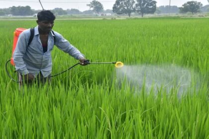 सख्ती: - सख्ती: नकली कीटनाशकों का कारोबार करने पर होगी तीन साल तक कैद, विधेयक का मसौदा तैयार; चार फरवरी तक मांगे सुझाव