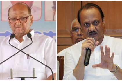 महाराष्ट्र - महाराष्ट्र निकाय चुनाव: पुणे-पिंपरी में एनसीपी की हार, चाचा-भतीजे अपने गढ़ में फेल; जानिए कितनी मिली सीटें