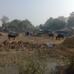 Lakhimpur - Lakhimpur Kheri News: अलीगंज में पीएचसी के लिए जमीन आरक्षित, निर्माण का पता नहीं