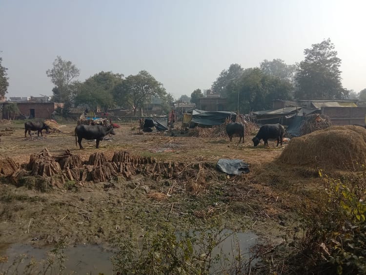 Lakhimpur - Lakhimpur Kheri News: अलीगंज में पीएचसी के लिए जमीन आरक्षित, निर्माण का पता नहीं