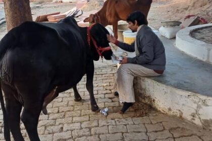 UP: संत - UP: संत और गो सेवा के लिए बेची 200 करोड़ की संपत्ति, स्वामी हरीश्वरानंद के प्रपौत्र ने बताया अनोखा किस्सा