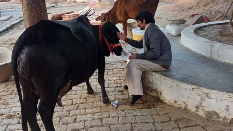UP: संत - UP: संत और गो सेवा के लिए बेची 200 करोड़ की संपत्ति, स्वामी हरीश्वरानंद के प्रपौत्र ने बताया अनोखा किस्सा