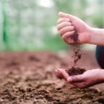 चिंताजनक: - चिंताजनक: बढ़ते सूखे से वैश्विक खाद्य सुरक्षा पर गंभीर खतरा, तापमान में तेजी से वृद्धि से घटी मिट्टी में नमी