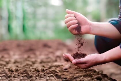 चिंताजनक: - चिंताजनक: बढ़ते सूखे से वैश्विक खाद्य सुरक्षा पर गंभीर खतरा, तापमान में तेजी से वृद्धि से घटी मिट्टी में नमी