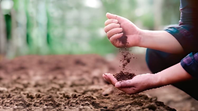 चिंताजनक: - चिंताजनक: बढ़ते सूखे से वैश्विक खाद्य सुरक्षा पर गंभीर खतरा, तापमान में तेजी से वृद्धि से घटी मिट्टी में नमी