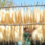 UP: शासन - UP: शासन तक पहुंची बरेली की सेवइयों की मिठास, ओडीओसी में शामिल, सालाना पांच करोड़ रुपये का कारोबार