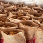 Potato: - Potato: हाथरस के आलू की अंतरराष्ट्रीय उड़ान, दुनिया को भा रहा स्वाद, सऊदी अरब-अफ्रीकी देशों को भी होगा निर्यात