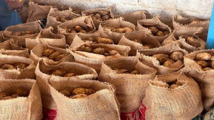 Potato: - Potato: हाथरस के आलू की अंतरराष्ट्रीय उड़ान, दुनिया को भा रहा स्वाद, सऊदी अरब-अफ्रीकी देशों को भी होगा निर्यात
