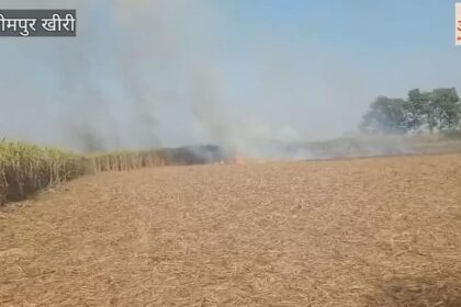 Lakhimpur - Lakhimpur Kheri: पराली की आग से सात किसानों का 11 बीघा गन्ना जलकर राख, नुकसान की भरपाई की मांग