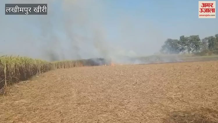 Lakhimpur - Lakhimpur Kheri: पराली की आग से सात किसानों का 11 बीघा गन्ना जलकर राख, नुकसान की भरपाई की मांग