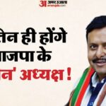 नितिन - नितिन नवीन होंगे भाजपा अध्यक्ष: क्या पहले भी कार्यकारी प्रमुख बने हैं पार्टी के मुखिया? जानें कब-किसे मिला पद