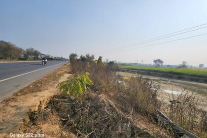 Lakhimpur - Lakhimpur Kheri News: सड़कों से सटे तालाब व खुले नालों पर फैला मौत का जाल