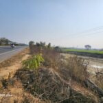 Lakhimpur - Lakhimpur Kheri News: सड़कों से सटे तालाब व खुले नालों पर फैला मौत का जाल