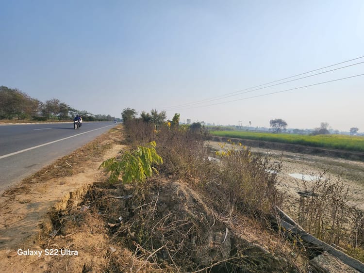 Lakhimpur - Lakhimpur Kheri News: सड़कों से सटे तालाब व खुले नालों पर फैला मौत का जाल