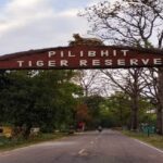 UP: पीलीभीत - UP: पीलीभीत टाइगर रिजर्व और दुधवा जाने वाले सैलानियों की राह होगी आसान, बरेली में बनेगा पर्यटक सूचना केंद्र