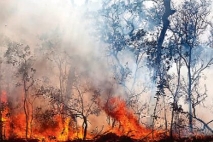 चिंताजनक: - चिंताजनक: जंगलों की आग से हर साल हवा में घुल रहा 14.3 करोड़ टन जहर, गंभीर बीमारियों का खतरा बढ़ा रहा प्रदूषण