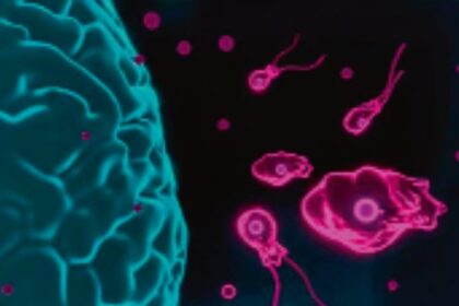 जलवायु - जलवायु परिवर्तन से बढ़ा बड़ा खतरा: दुनिया में पैर पसार रहा ब्रेन ईटिंग अमीबा, नए इलाकों में फैला संक्रमण