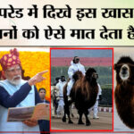 Republic - Republic Day Parade 2026: परेड में दिखे बैक्ट्रियन ऊंट की खासियत तो जान लीजिए।