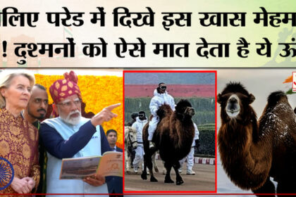 Republic - Republic Day Parade 2026: परेड में दिखे बैक्ट्रियन ऊंट की खासियत तो जान लीजिए।