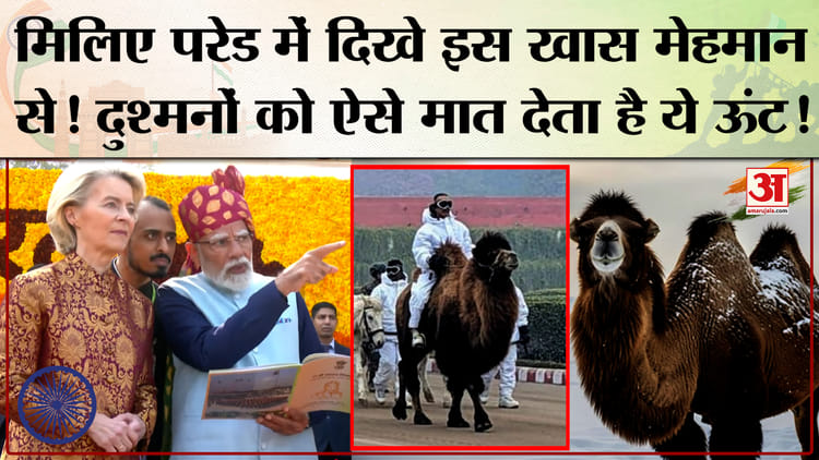 Republic - Republic Day Parade 2026: परेड में दिखे बैक्ट्रियन ऊंट की खासियत तो जान लीजिए।