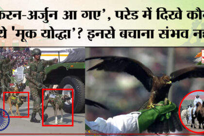 Republic - Republic Day Parade 2026: बैक्ट्रियन ऊंट, रैप्टर्स, K9 दस्ता, जांस्कर पोनी... परेड में दिखे कौन हैं ये 'मूक यो