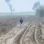 Lakhimpur - Lakhimpur Kheri News: बंसीनगर चौकी क्षेत्र में हो रहा मिट्टी का अवैध खनन