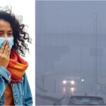 चिंताजनक: - चिंताजनक: दूषित हवा फेफड़ों के लिए ही नहीं, दिमाग और नसों के लिए भी घातक; नए अध्ययन ने चेताया