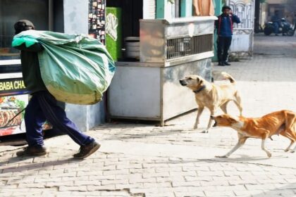 Moradabad: - Moradabad: 24 घंटे में चालीस लोगों को कुत्तों ने बनाया निशाना, अजय के हाथ से नोच ले गए मांस, गांवों में दहशत