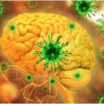 भारत - भारत के खिलाफ क्रिकेट जिहाद: बांग्लादेश-PAK का निपाह के बहाने वार, वर्ल्ड कप पर था निशाना; WHO ने खोली पोल