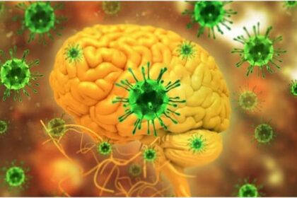 भारत - भारत के खिलाफ क्रिकेट जिहाद: बांग्लादेश-PAK का निपाह के बहाने वार, वर्ल्ड कप पर था निशाना; WHO ने खोली पोल