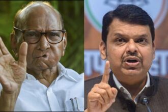 Maharashtra - Maharashtra Politics: फडणवीस को पवार की दो-टूक, NCP के विलय पर सीएम पक्षकार नहीं, उन्हें टिप्पणी का हक नहीं