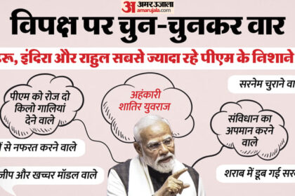 मोदी - मोदी के शब्द बाण: शातिर युवराज से सरनेम चुराने वाले तक, विपक्ष पर किया PM का हर प्रहार, इन्फोग्राफिक्स में