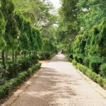 Indian - Indian Army: मिटीं गुलामी की निशानियां, सेना ने 246 सड़कों-इमारतों के बदले नाम