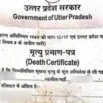 Lucknow - Lucknow News: मरे हुए पिता को दिखाया जिंदा... सात साल तक उठाते रहे पेंशन, ऐसे हुआ साजिश की पर्दाफाश; केस दर्ज