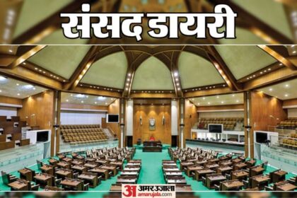 संसद - संसद डायरी: 'डीजीसीए ने 352 एयरलाइन को जारी किया नोटिस'; नागरिक उड्डयन राज्य मंत्री ने राज्यसभा में दी जानकारी