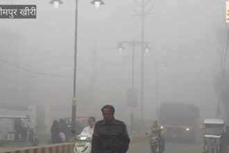 Lakhimpur - Lakhimpur Kheri: तराई में मौसम के अजब-गजब रंग, फाल्गुन माह में छा रहा घना कोहरा