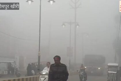 Lakhimpur - Lakhimpur Kheri: तराई में मौसम के अजब-गजब रंग, फाल्गुन माह में छा रहा घना कोहरा