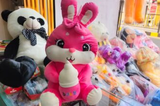 Lakhimpur - Lakhimpur Kheri News: टेडी बियर डे पर बाजारों में छाई गुलाबी रौनक