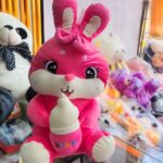 Lakhimpur - Lakhimpur Kheri News: टेडी बियर डे पर बाजारों में छाई गुलाबी रौनक