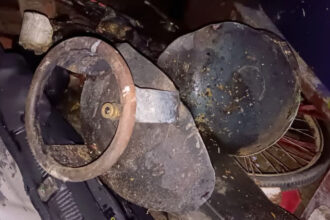 Kanpur: - Kanpur: एलपीजी सिलिंडर फटने से छह झुलसे, आग से गृहस्थी राख, दो की हालत गंभीर