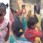 UP News: - UP News: आवारा कुत्तों ने पांच साल की मासूम बच्ची को नोचकर मार डाला, तीन बच्चों ने भागकर बचाई जान