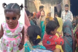 UP News: - UP News: आवारा कुत्तों ने पांच साल की मासूम बच्ची को नोचकर मार डाला, तीन बच्चों ने भागकर बचाई जान