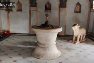 Mahashivratri - Mahashivratri 2026: लखीमपुर खीरी में अनूठी वास्तुकला की मिसाल है मेंढक मंदिर; देखें वीडियो