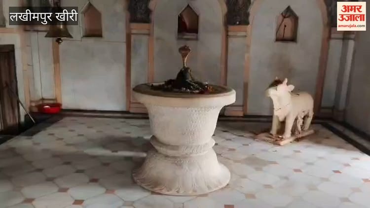 Mahashivratri - Mahashivratri 2026: लखीमपुर खीरी में अनूठी वास्तुकला की मिसाल है मेंढक मंदिर; देखें वीडियो