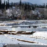 Weather: - Weather: पश्चिमी विक्षोभ सक्रिय, पहाड़ों पर बर्फबारी; मैदानों में बारिश के आसार, इन इलाकों में बढ़ेगी गर्मी